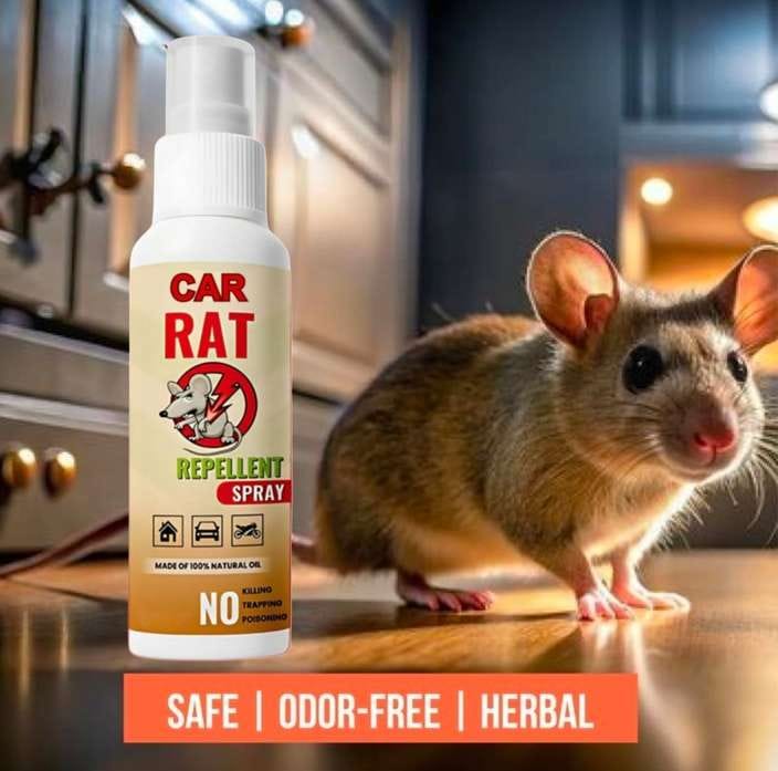 Car Rat Repellent Spray bottle with a rat on a kitchen counter